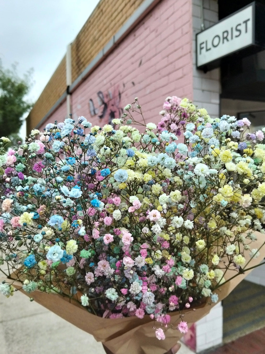 Rainbow Baby's Breath: A Little Flower With a Big Heart (Pride Month at Jacaranda Blooms)