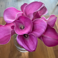 Calla Lily Bouquet image 0