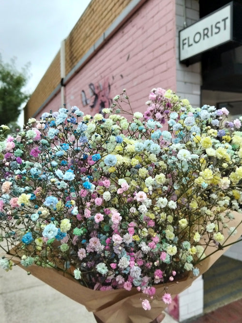 Baby's Breath