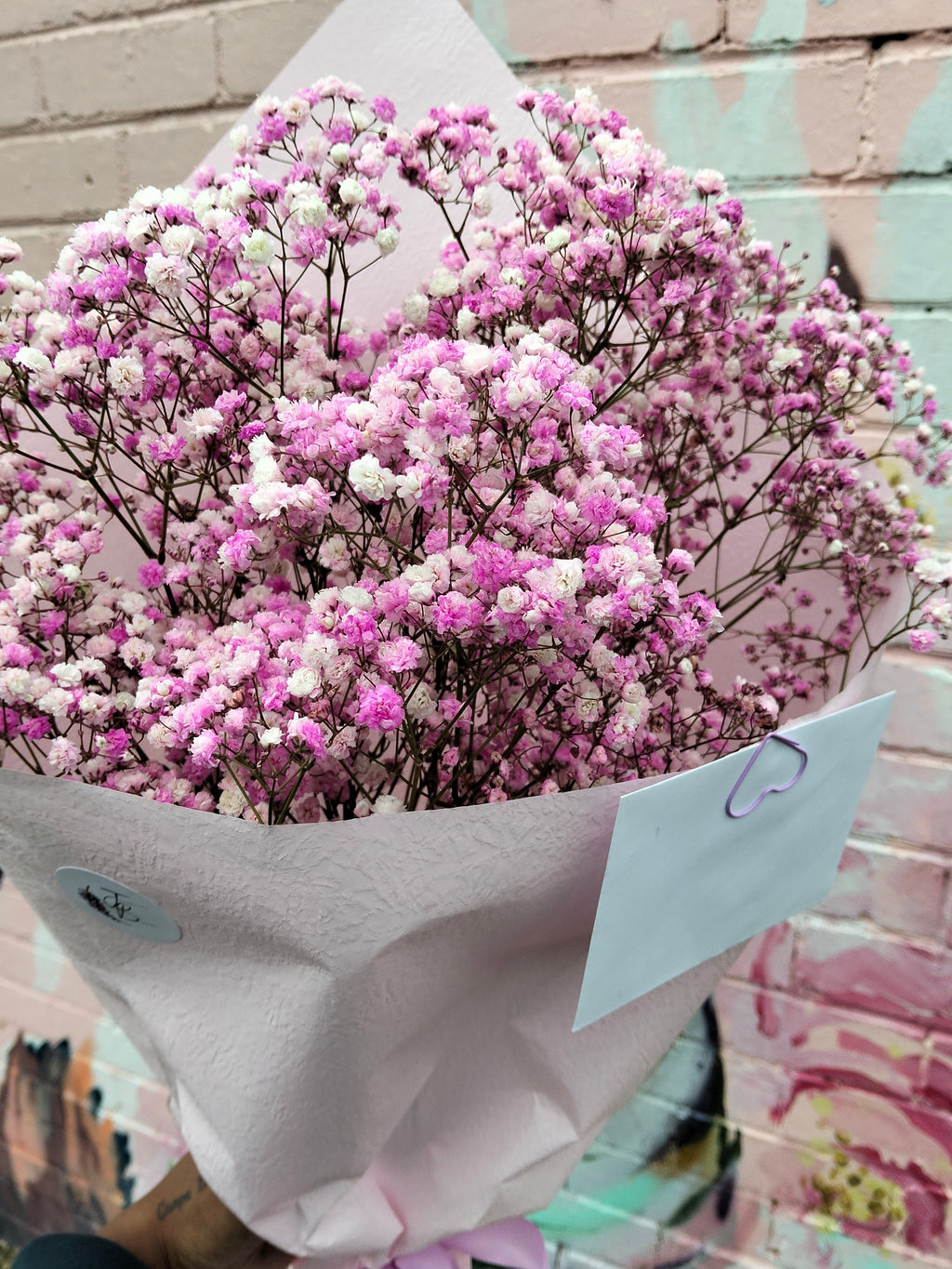 Baby's Breath