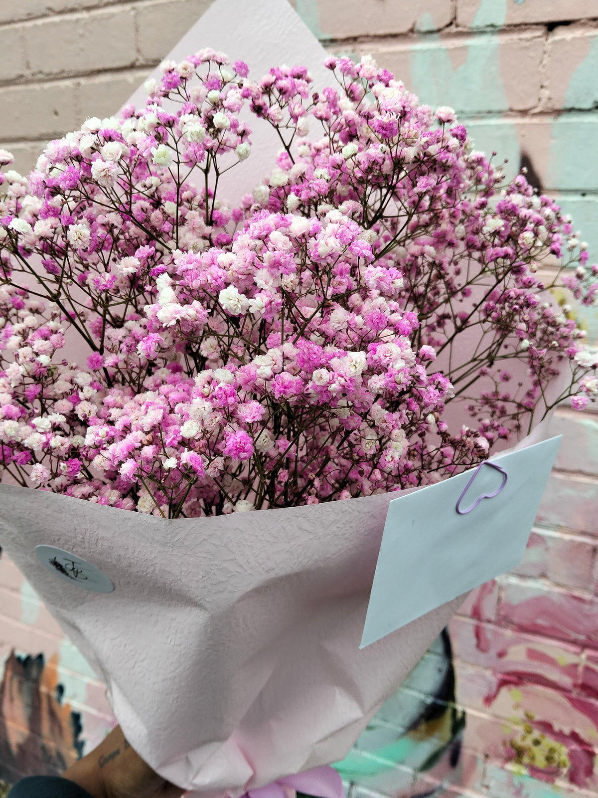 Baby's Breath