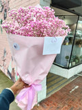 Baby's Breath