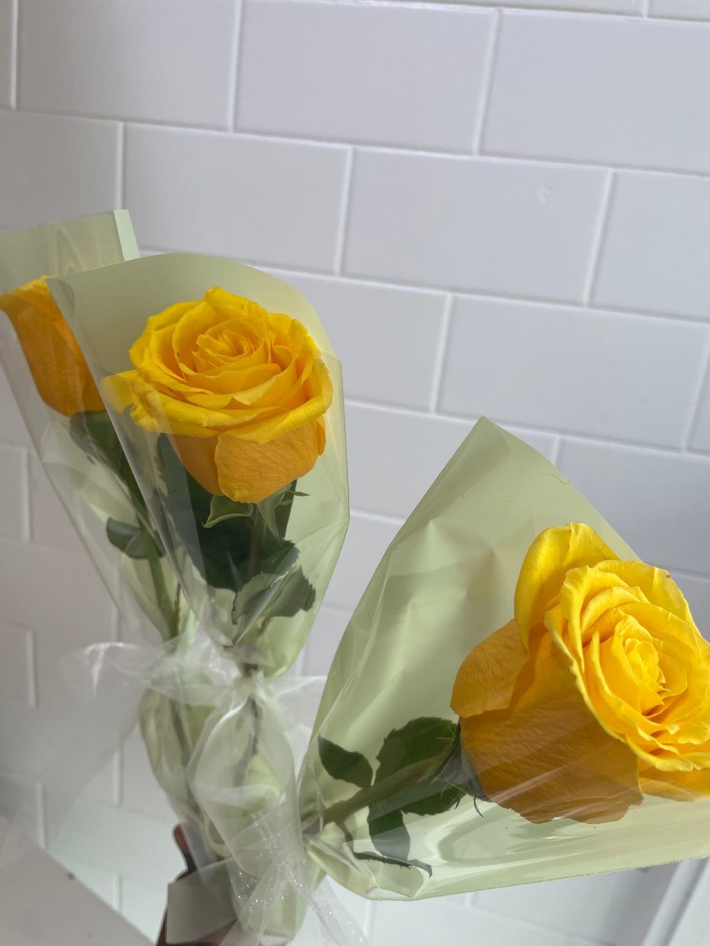 Single Yellow Rose