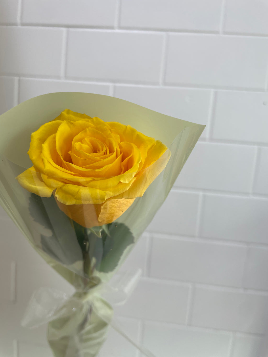 Single Yellow Rose