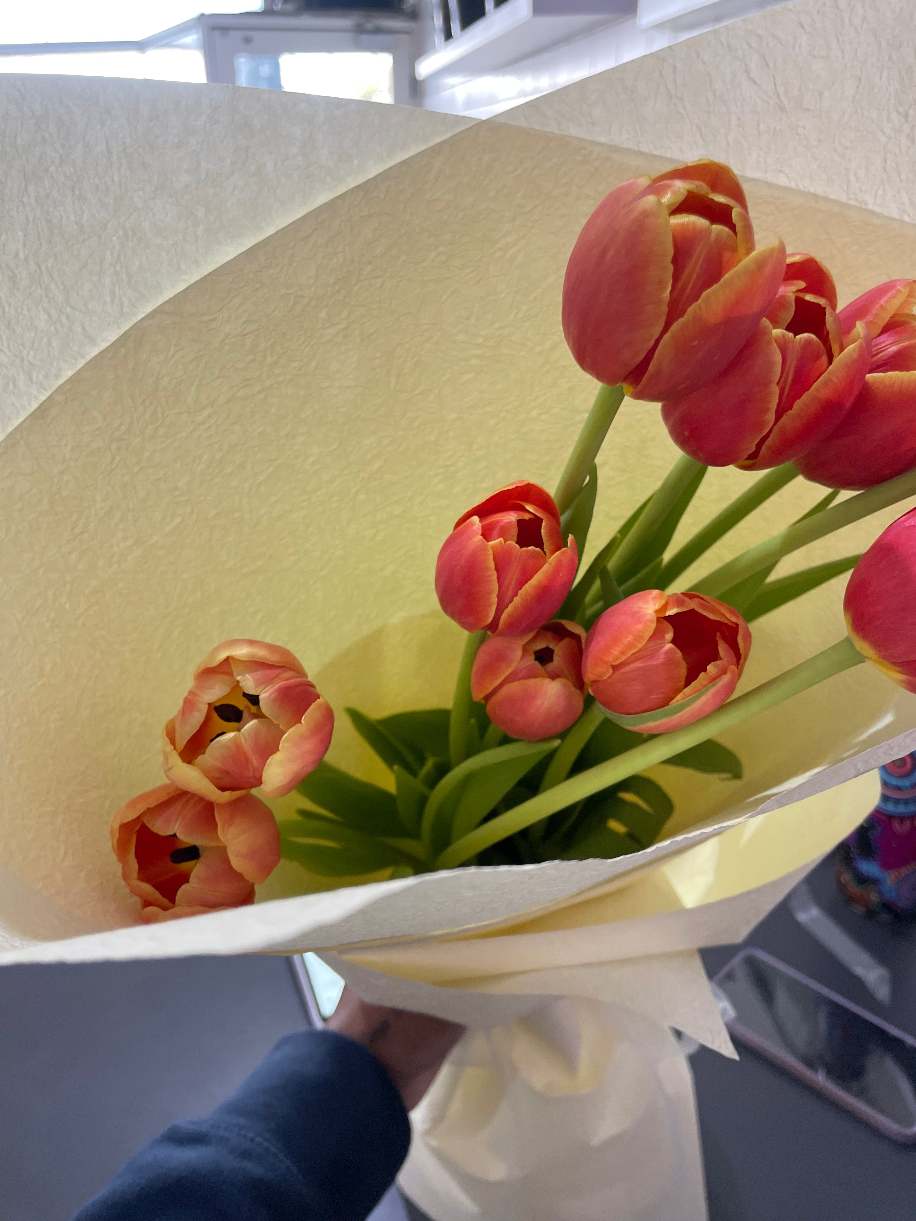 Tulip Bouquet | Jacaranda Blooms